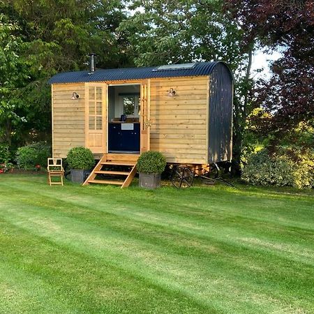 Bannfield Shepherds Hut Ballymoney Dış mekan fotoğraf